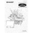 Sharp 21HS-50 (serv.man10) User Manual / Operation Manual