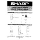 Sharp 66CS-03H (serv.man13) User Manual / Operation Manual