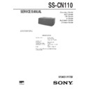 Sony MHC-GRX10AV, MHC-RX110AV, MHC-V919AV, SS-CN110 Service Manual