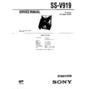 Sony MHC-V919AV, SS-V919 Service Manual